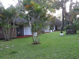 Premium bedding, free minibar, in-room safe, desk