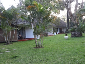 Ylelliset vuodevaatteet, ilmaiset minibaarituotteet