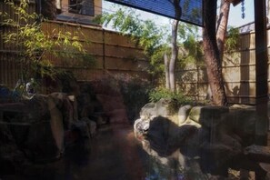 Spa - Shexia Li Yu (Pingtung)