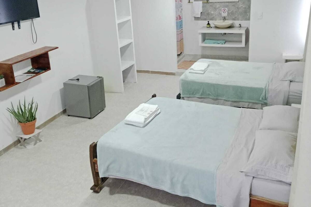 A hotel room with a bed, a TV, a small desk, a plant, and a bathroom with a sink and mirror.