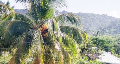 Posada in the caribbean