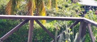 Posada in the caribbean