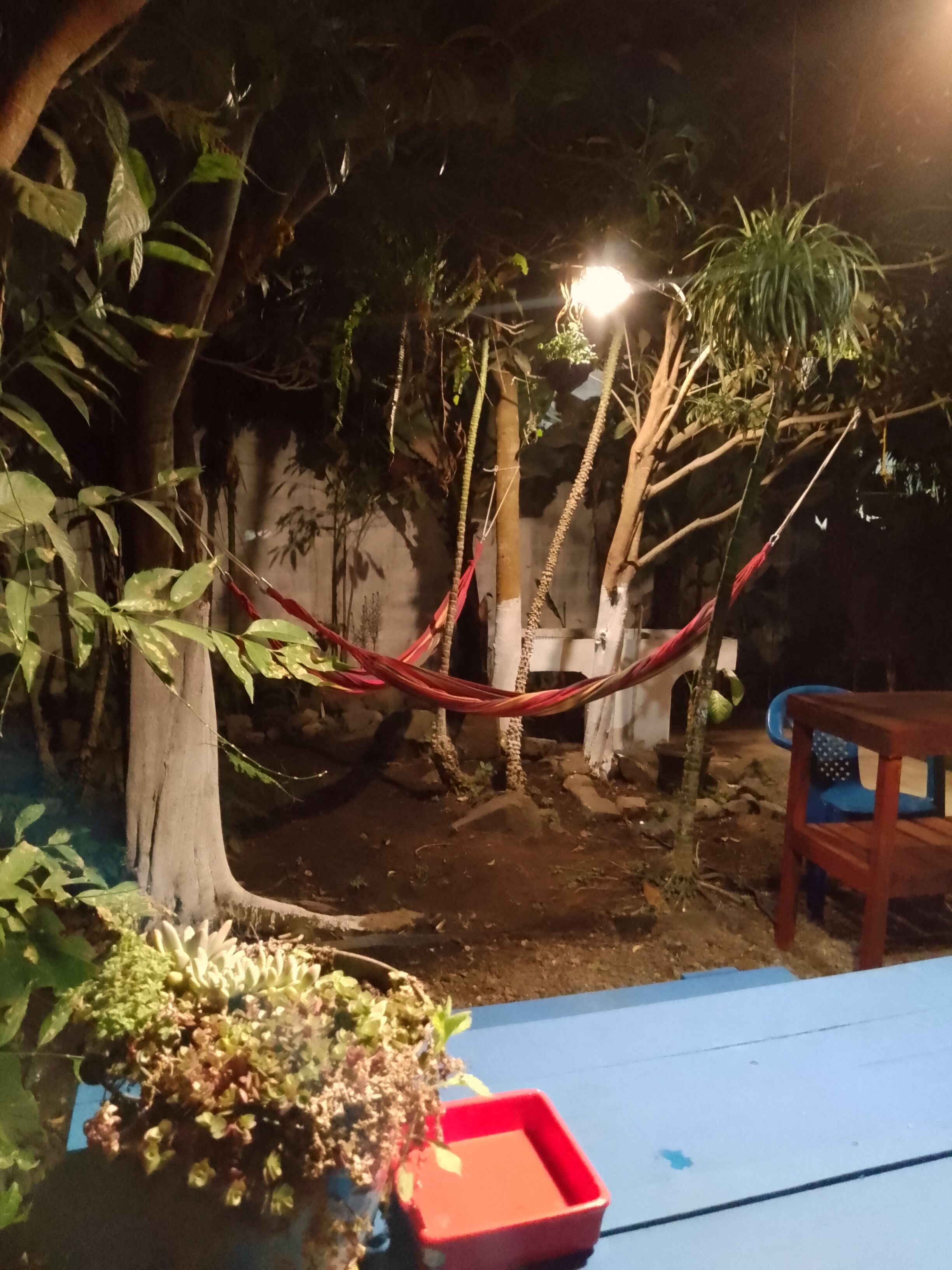 Foto - La guarida del caudillo