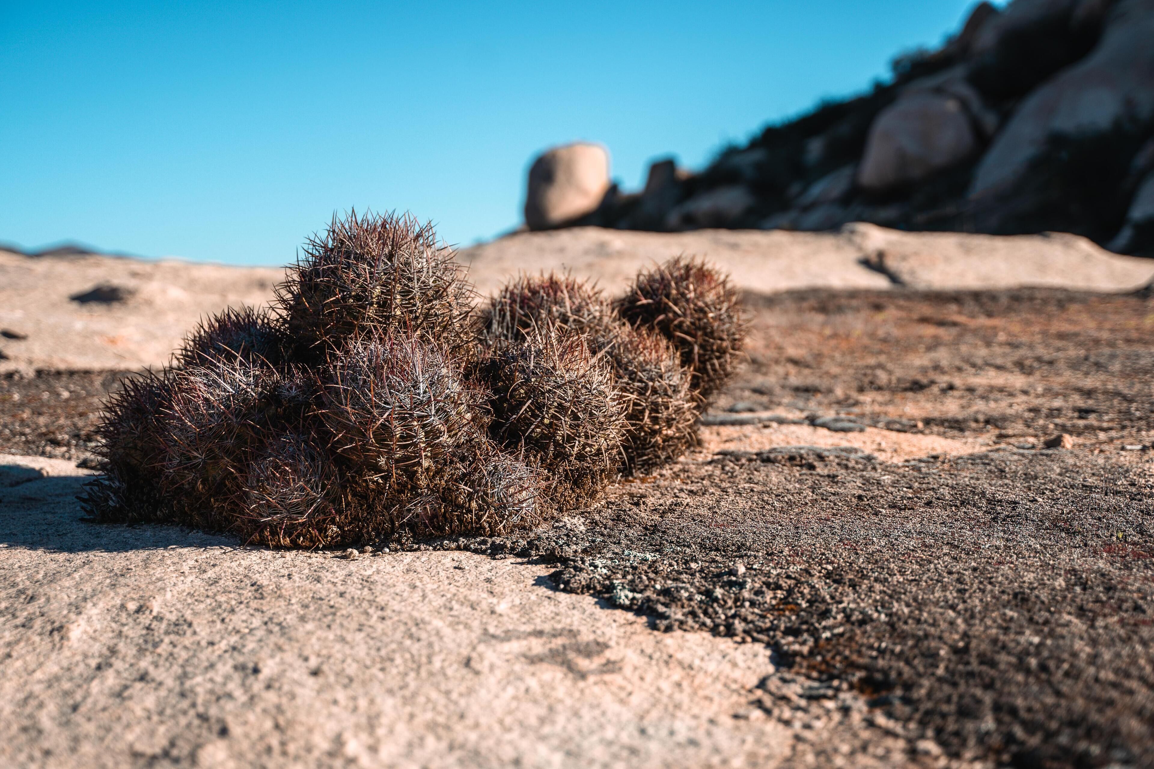 Photo - The Village at OENO