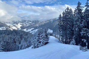 A snow-covered mountain road with dense evergreen trees on either side.