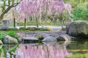 Miscellaneous - Tsurui Goshonishi (Kyoto)