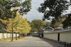 Unclassified image, 3 of 8, button - Tsurui Goshonishi (Kyoto)