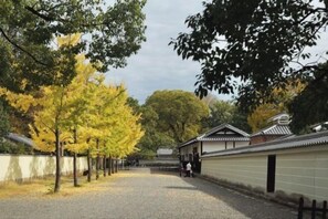 Miscellaneous - Tsurui Goshonishi (Kyoto)