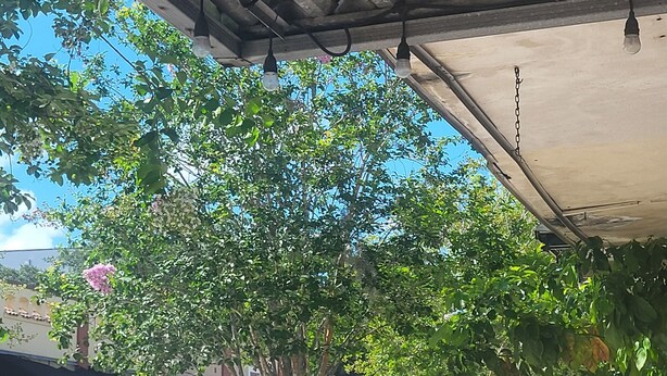 A covered outdoor seating area with a bench and trash can, under a wooden structure with hanging lights. - Charming 1925 House in the Heart of DeLand.  (DeLand)