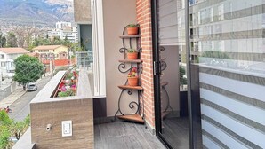 Un balcón con piso de madera, pared de ladrillo y puerta de cristal. Hay plantas en macetas sobre una estantería metálica.