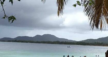 Apartamentos en VIQUES Puerto Rico
