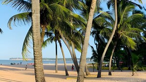 Una playa con palmeras y una vista despejada del mar.