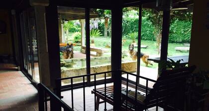 Encantadora Casa de Campo del Siglo XIX en un Bonito Valle, a 2 km del mar