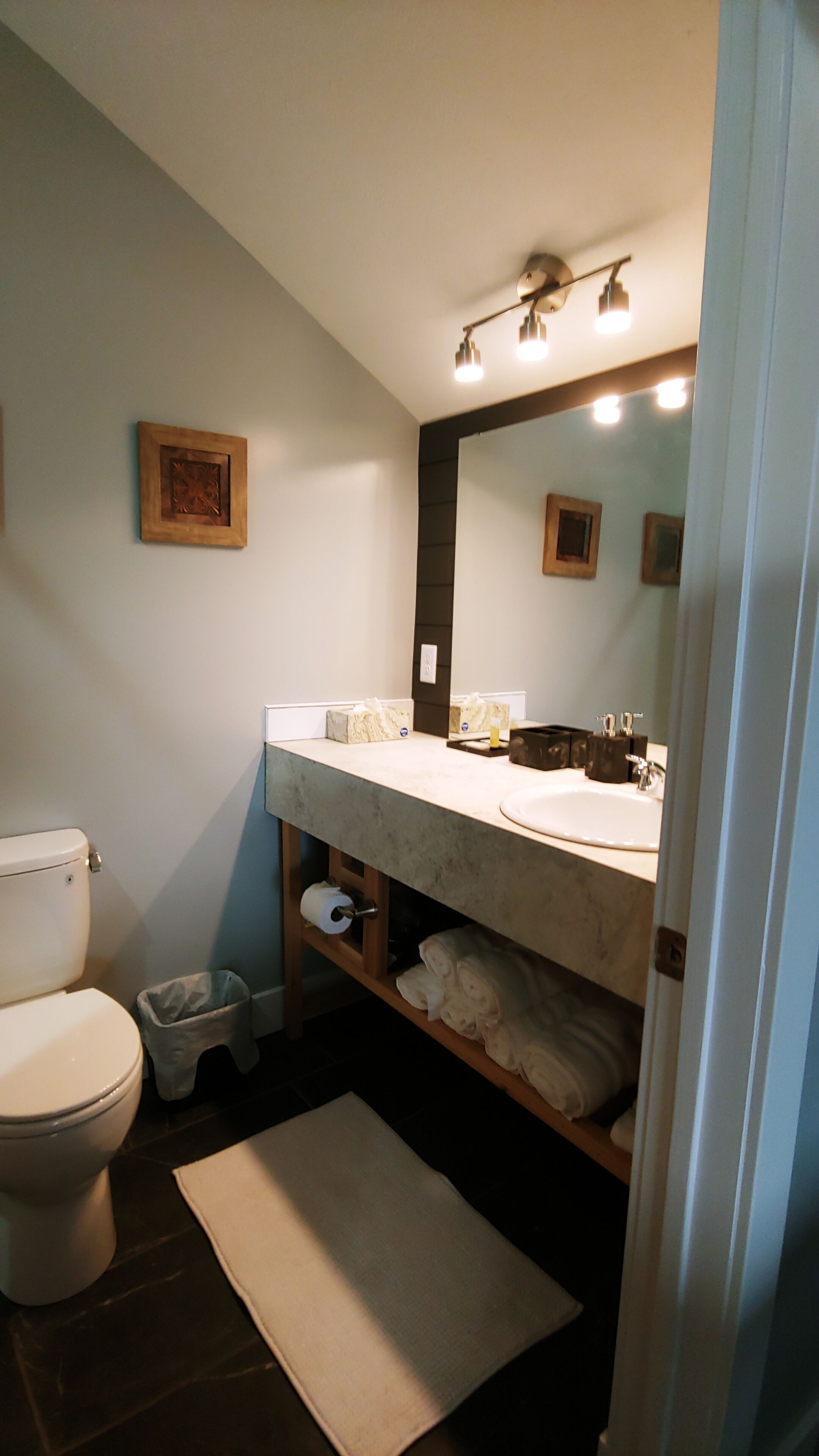 Hair dryer, towels, soap, shampoo