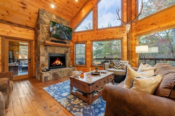 TV - Laurel Brook | Pet Friendly | Hot Tub | Fire Pit (Mineral Bluff)