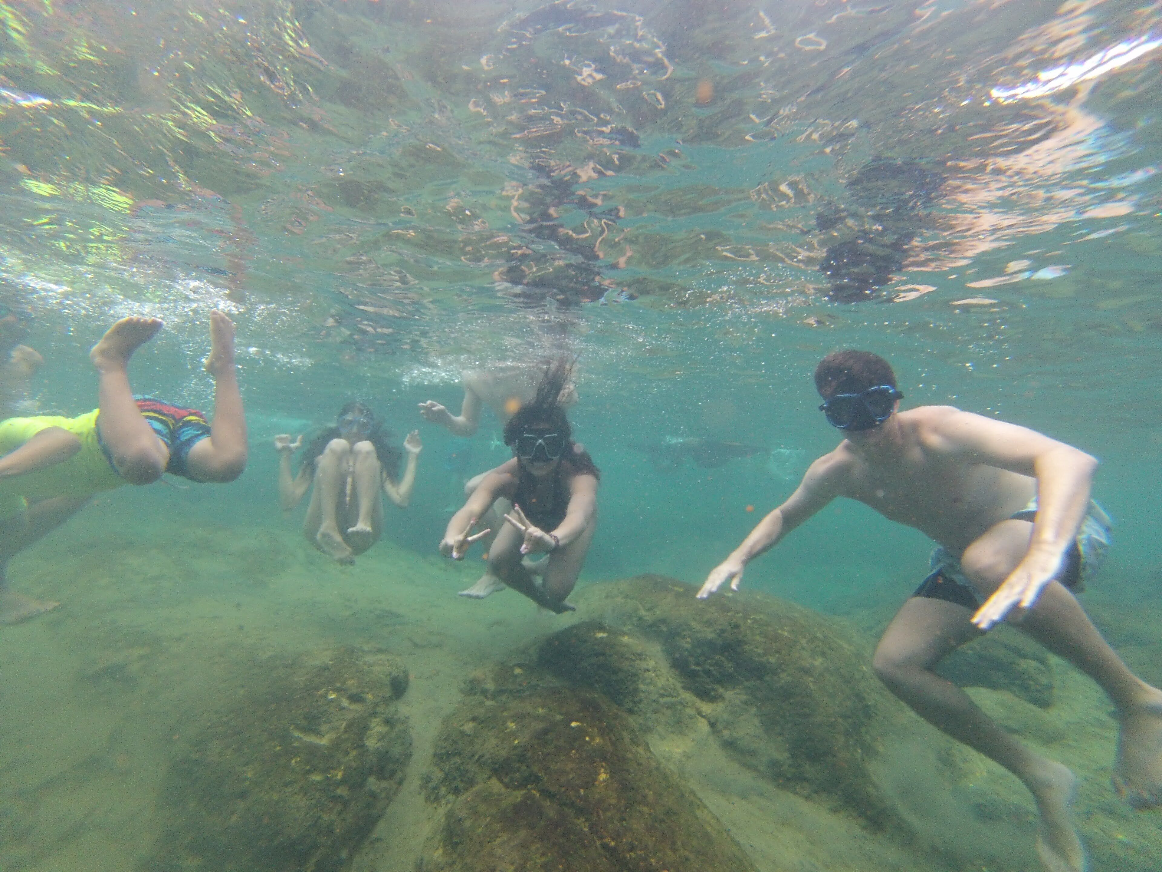 An underwater view of a group of people snorkeling.