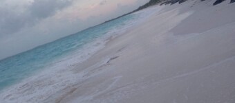 E.B.Rentals Unit#1 - Central location
5 minutes from Airport
2 bedroom, 1bath 