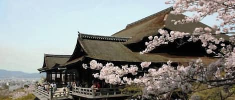 A traditional Japanese building with a wooden structure and a balcony, surrounded by cherry blossoms.