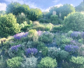 A lush garden with a variety of plants and flowers, including purple and white blooms, under a clear sky.