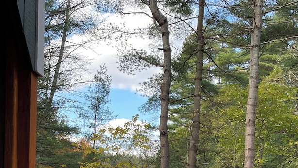Boendeområde