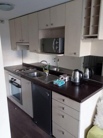 Cómodo y Céntrico Apartamento Santiago