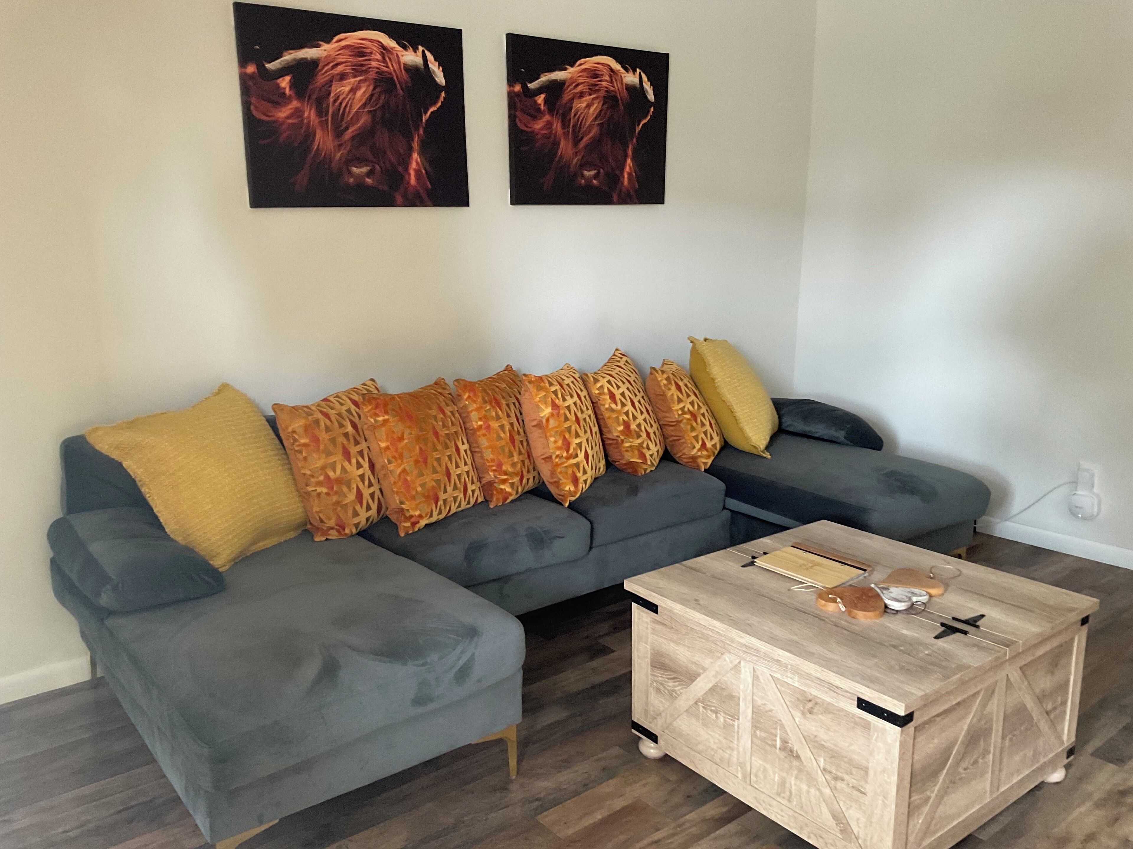 Smart TV, chimenea y libros 