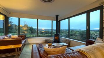 TV, fireplace, books