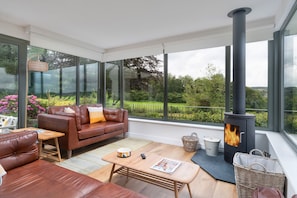 TV, fireplace, books