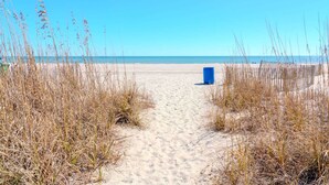 Een zandpad langs het strand dat naar de oceaan leidt, met hoge grassen aan beide kanten.
