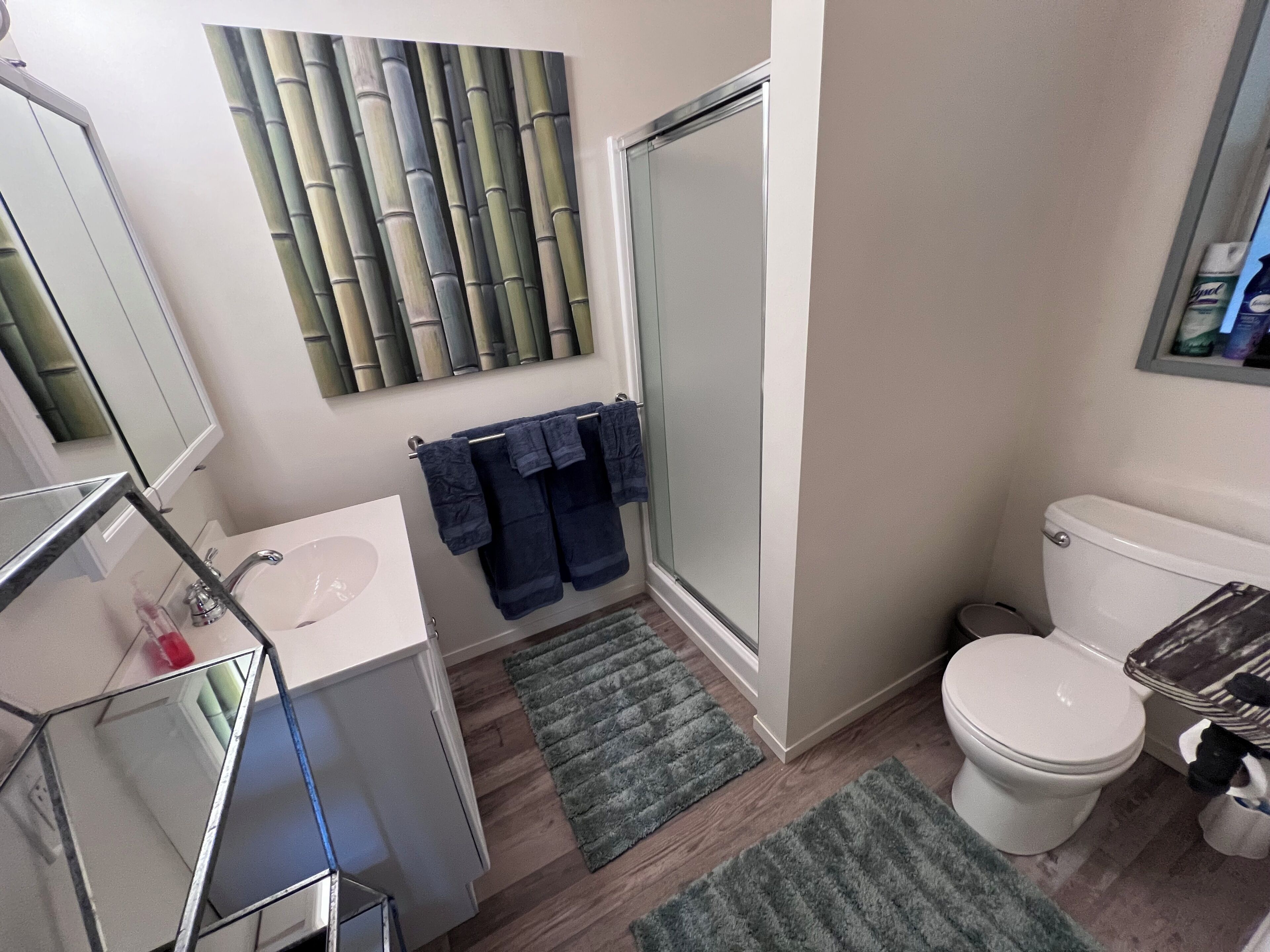 Dusche, Haartrockner, Handtücher, Seife