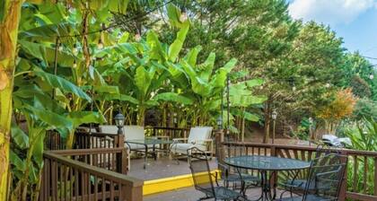 Amazing 2 Bed room, close to everything with AC, WiFi. Low cleaning fee, view