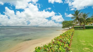 Espreguiçadeiras, toalhas de praia