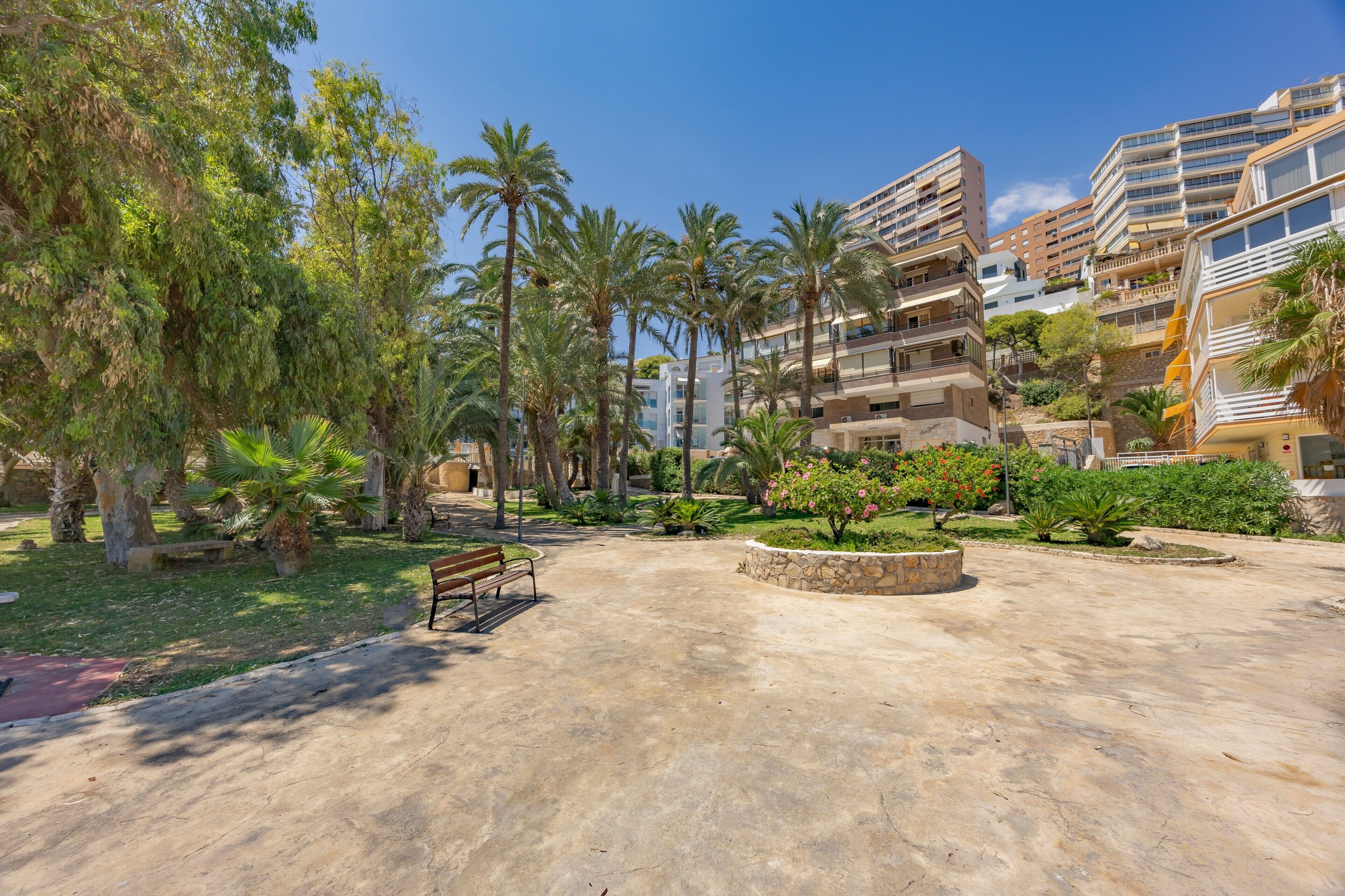 A courtyard with palm trees, a bench, and a stone planter.