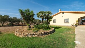 A house with a stone garden, palm trees, and a clear blue sky. - Villa 'Oliveto' with Mountain View, Private Terrace and Air Conditioning (Villa san pietro)