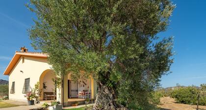 Villa 'Oliveto' mit Bergblick, privater Terrasse und Klimaanlage