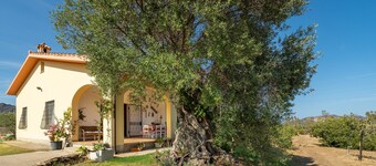 Villa 'Oliveto' con vistas a la montaña, terraza privada y aire acondicionado