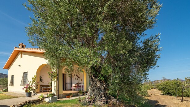 A house with a large tree in front, a patio with outdoor furniture, and a clear sky. - Villa 'Oliveto' with Mountain View, Private Terrace and Air Conditioning (Villa san pietro)