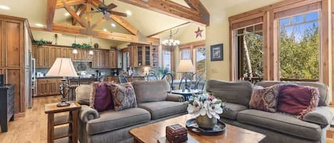 TV, fireplace, offices