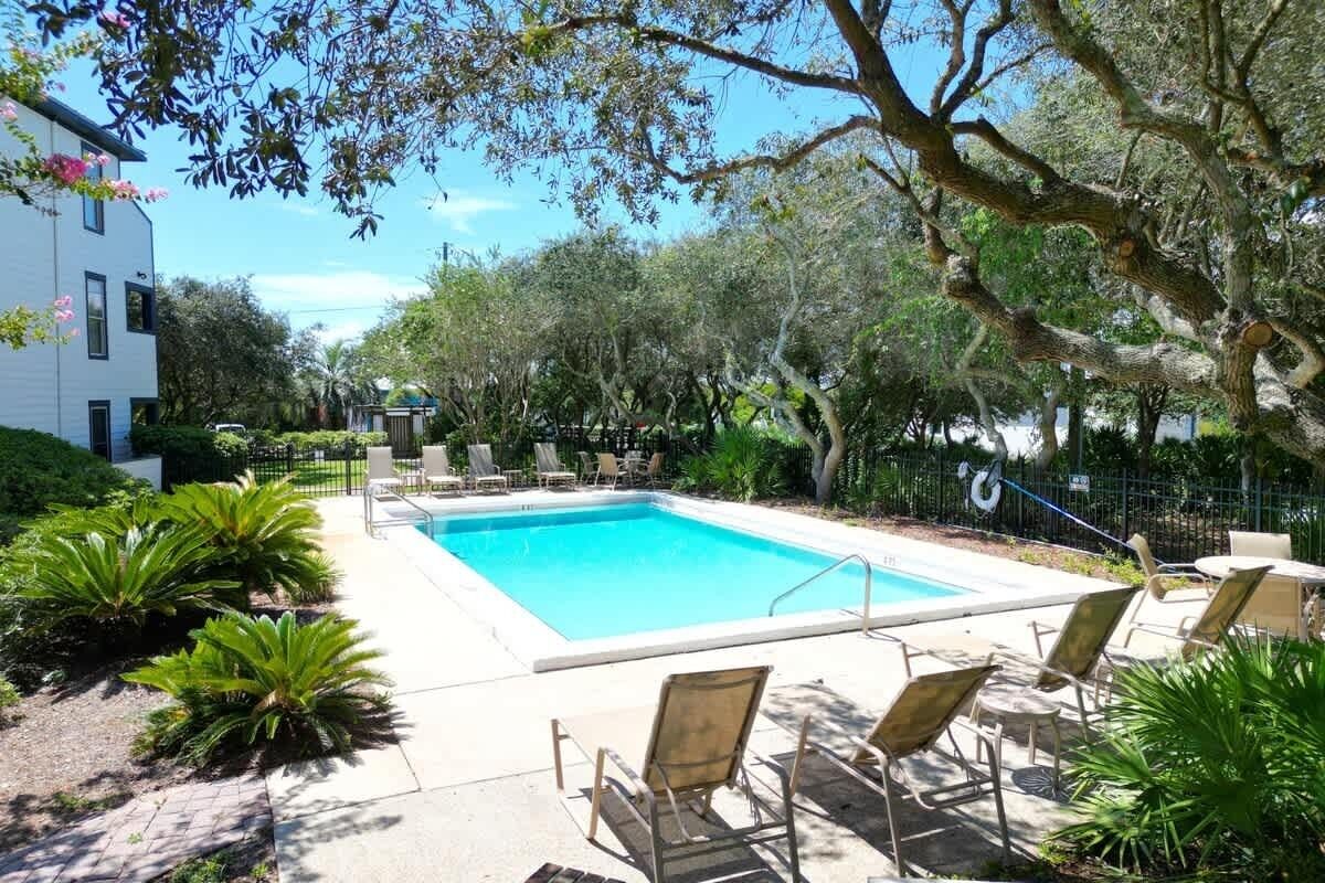 Une piscine rectangulaire, dotée de chaises longues et agrémentée de plantes tropicales.