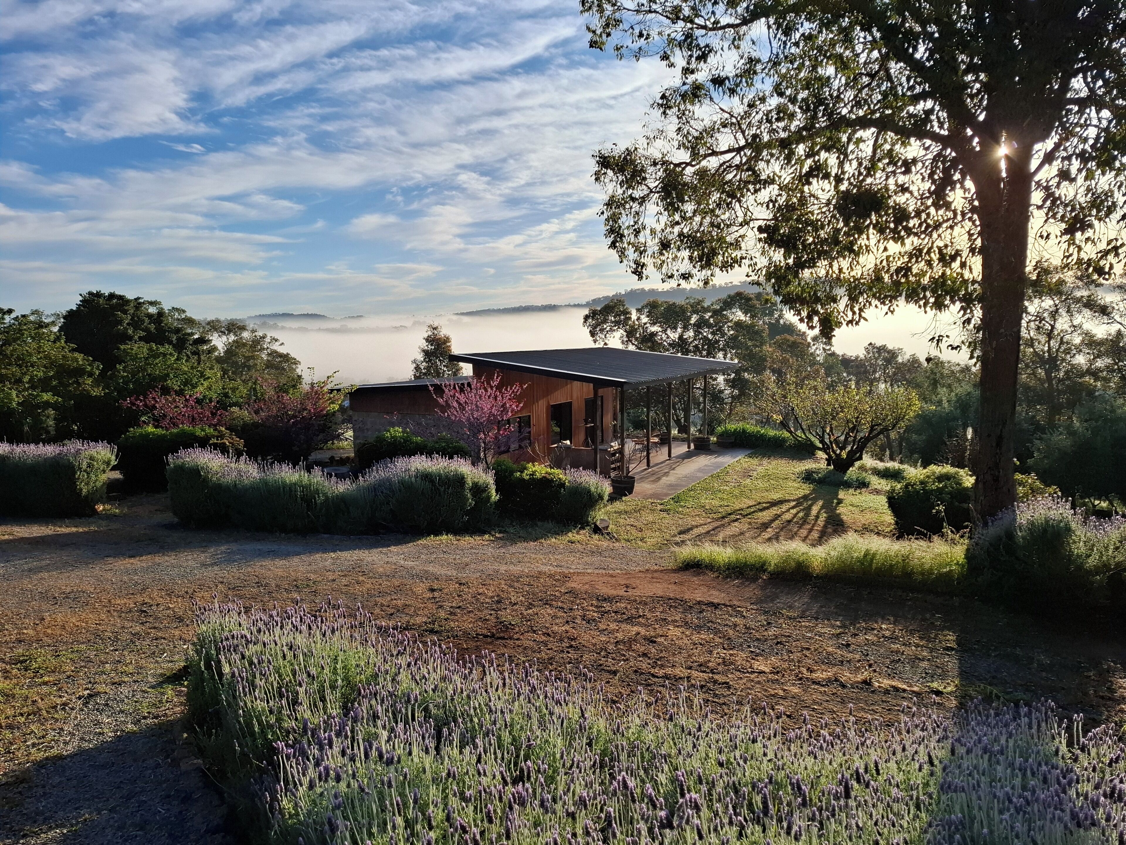 Jardines del alojamiento