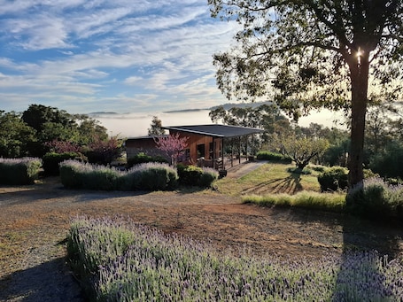 Property grounds. Rosie's Cottage Bindoon