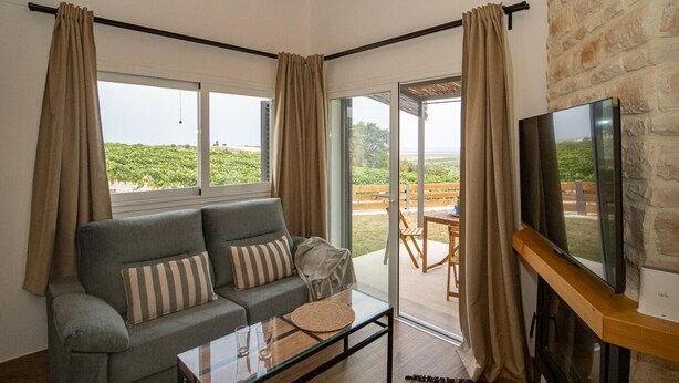 A living room with a sofa, a coffee table, a TV, and a fireplace. There are curtains, a window, and a view of greenery outside.