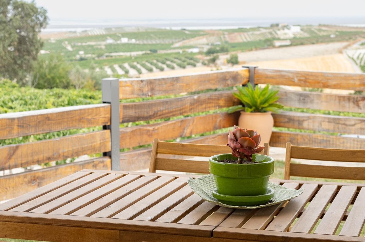Servei de restauració a l'aire lliure