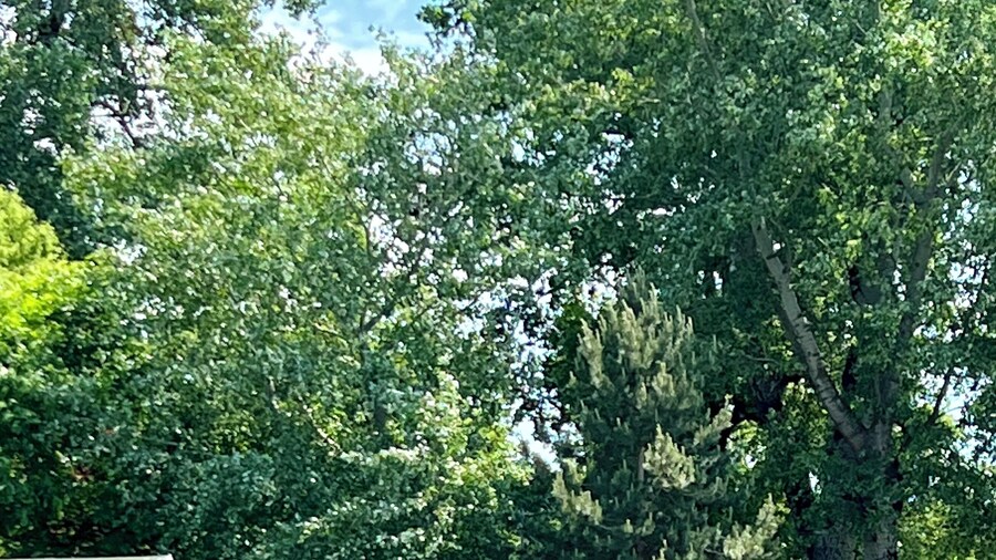 Beach House Belgrade