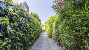 A narrow paved pathway flanked by dense green foliage and a metal railing.