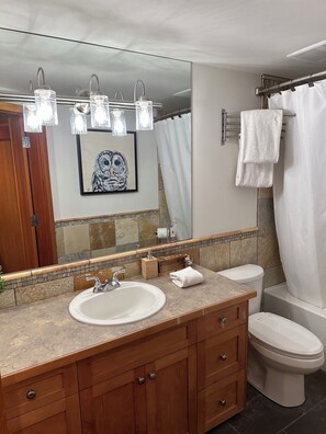 Hair dryer, bidet, towels, soap