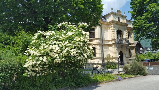 A historic building with ornate architecture, surrounded by lush greenery and a well-maintained garden. - Apartment 304, apartment, 38 sqm, 1-2 persons, balcony (Bad Reichenhall)