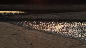 Un coucher de soleil sur une plage, les eaux calmes reflétant le ciel.