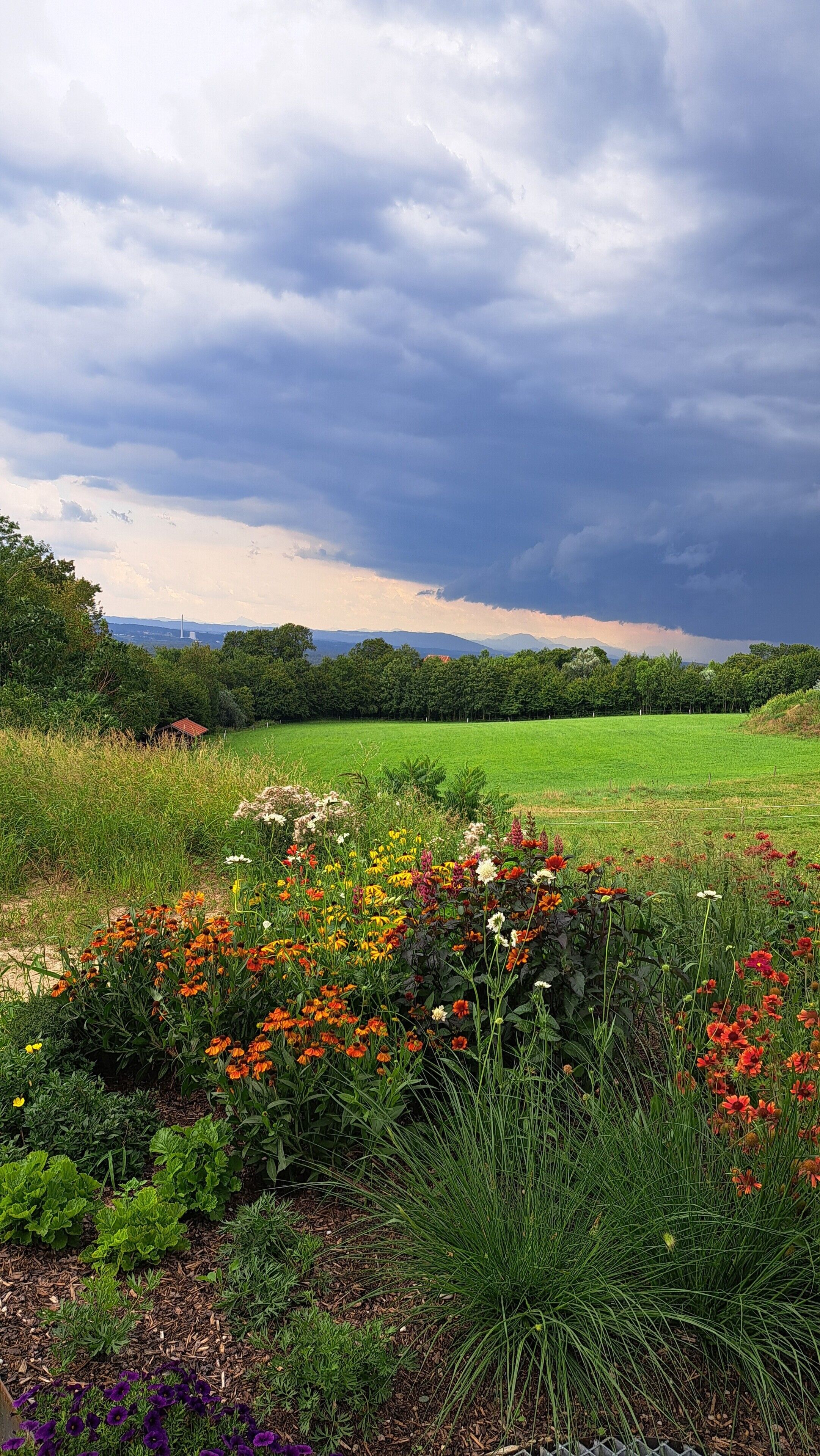 Overnatningsstedets område