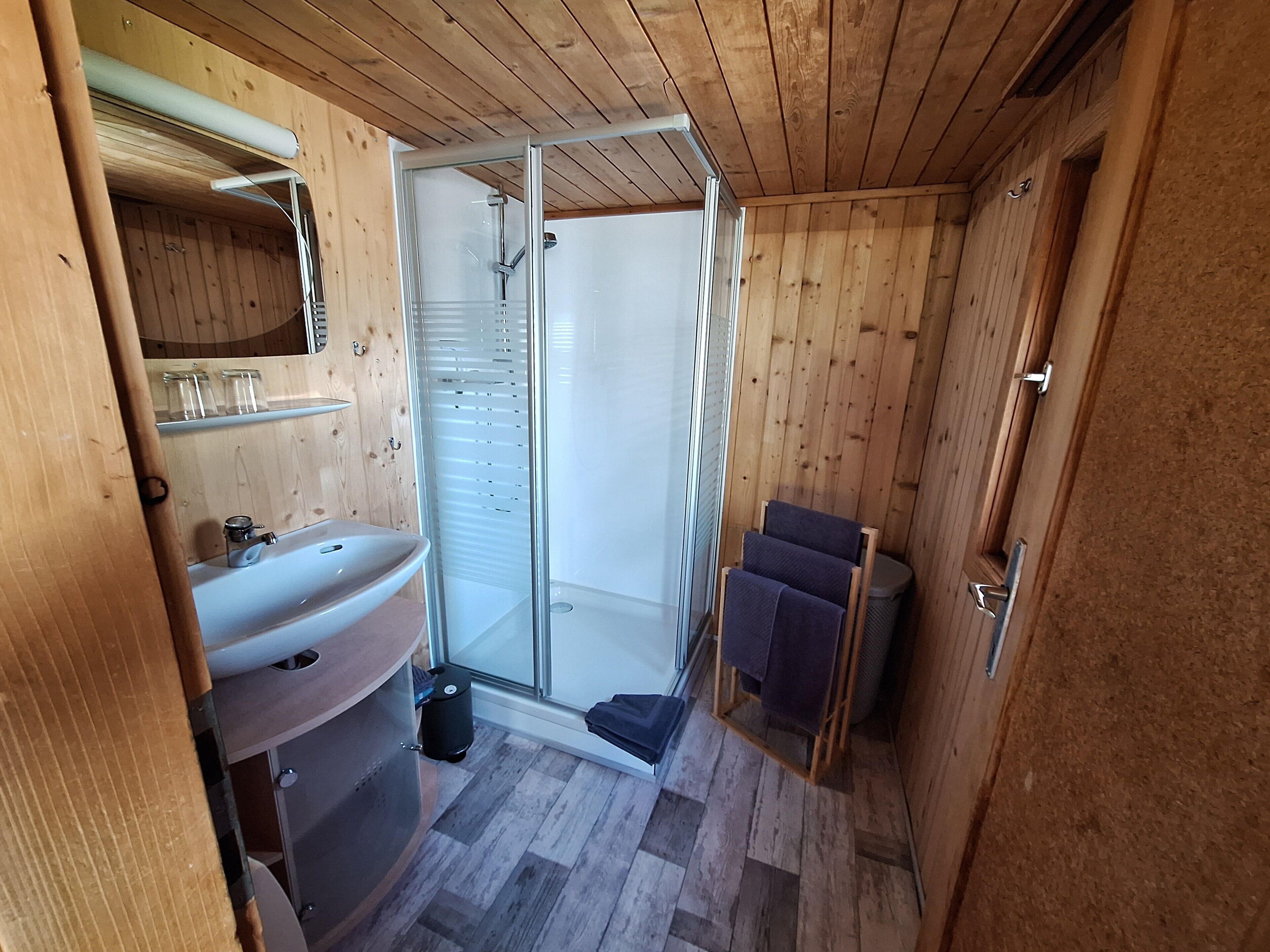 Shower, hair dryer, towels